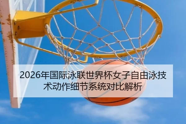 2026年国际泳联世界杯女子自由泳技术动作细节系统对比解析